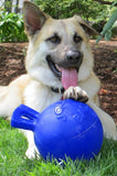 Jolly Pets Tug and Toss Ball - 8" Blue