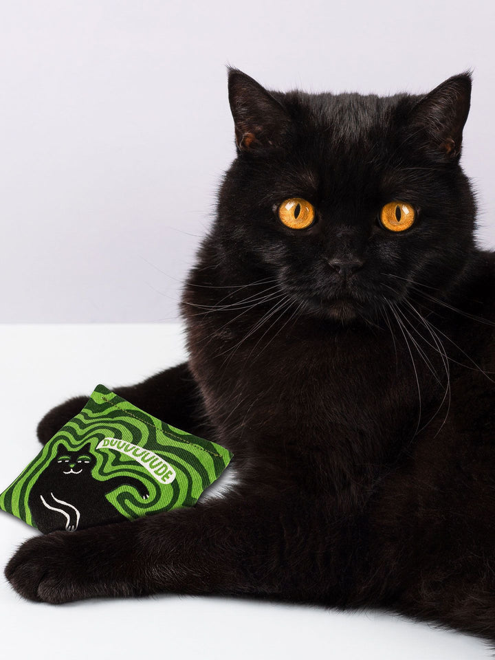 Dude Catnip Toy