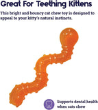 Wiggle Worm Cat Chew Toy