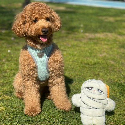 Mummy Crinkle Toy