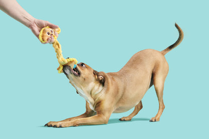 BARK Squeeze Cheese Sandwich Toy