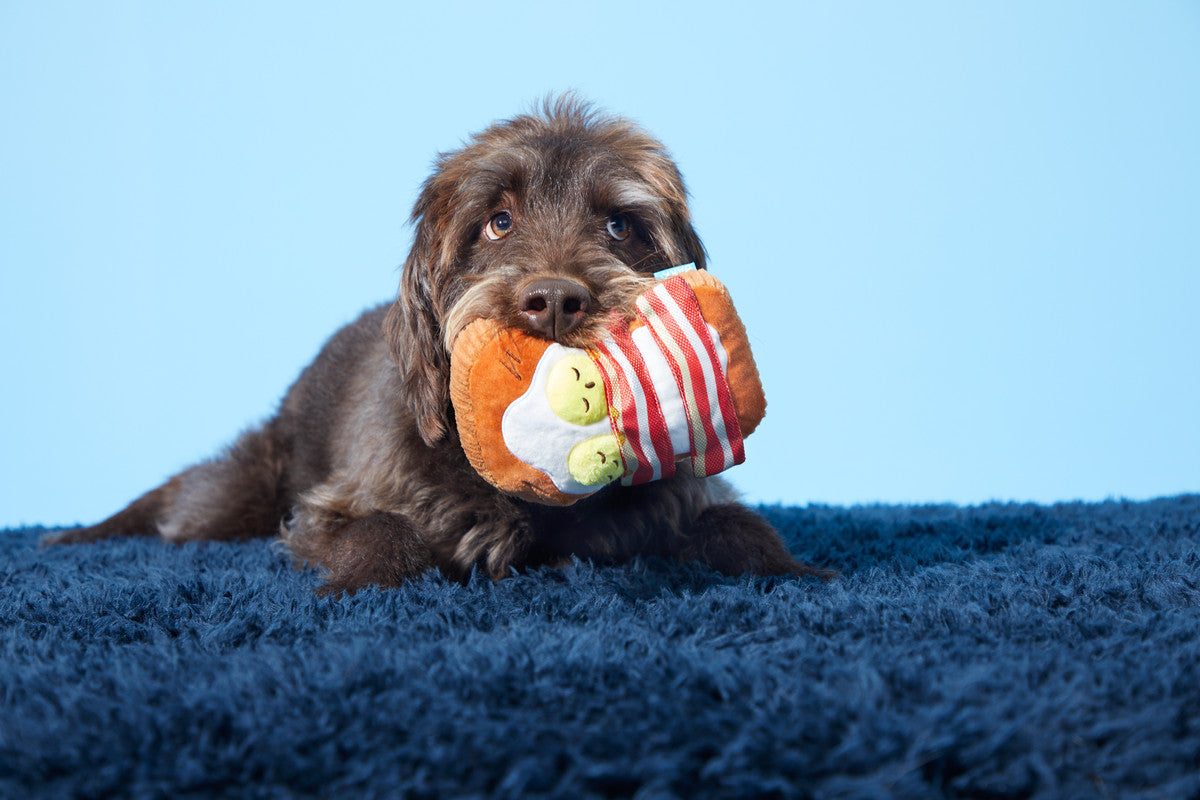 Barkfest in Bed Dog Toy