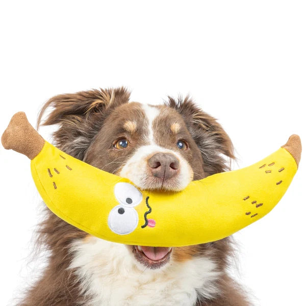 Bruiser Banana - Large