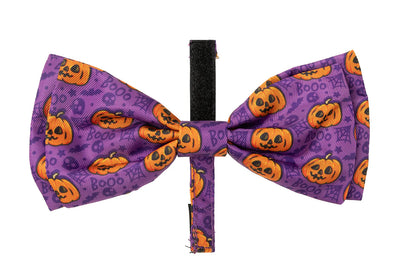 FuzzYard Bowtie - Jackie Lantern Purple