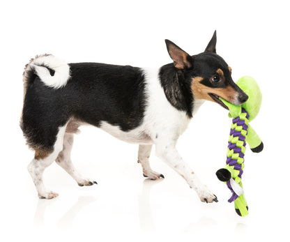 Bone Affleck Dog Toy