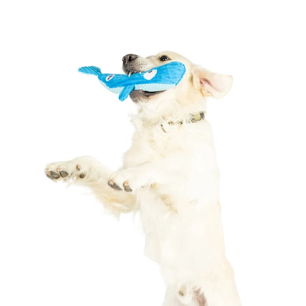 Wilma Whale Dog Toy - Large