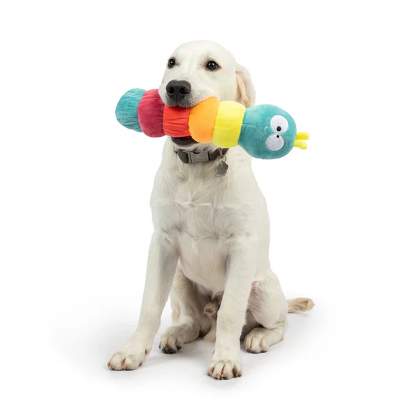 Fetchies Caterpillar Dog Toy - Large