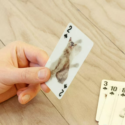 3D Playing Cards - Cats