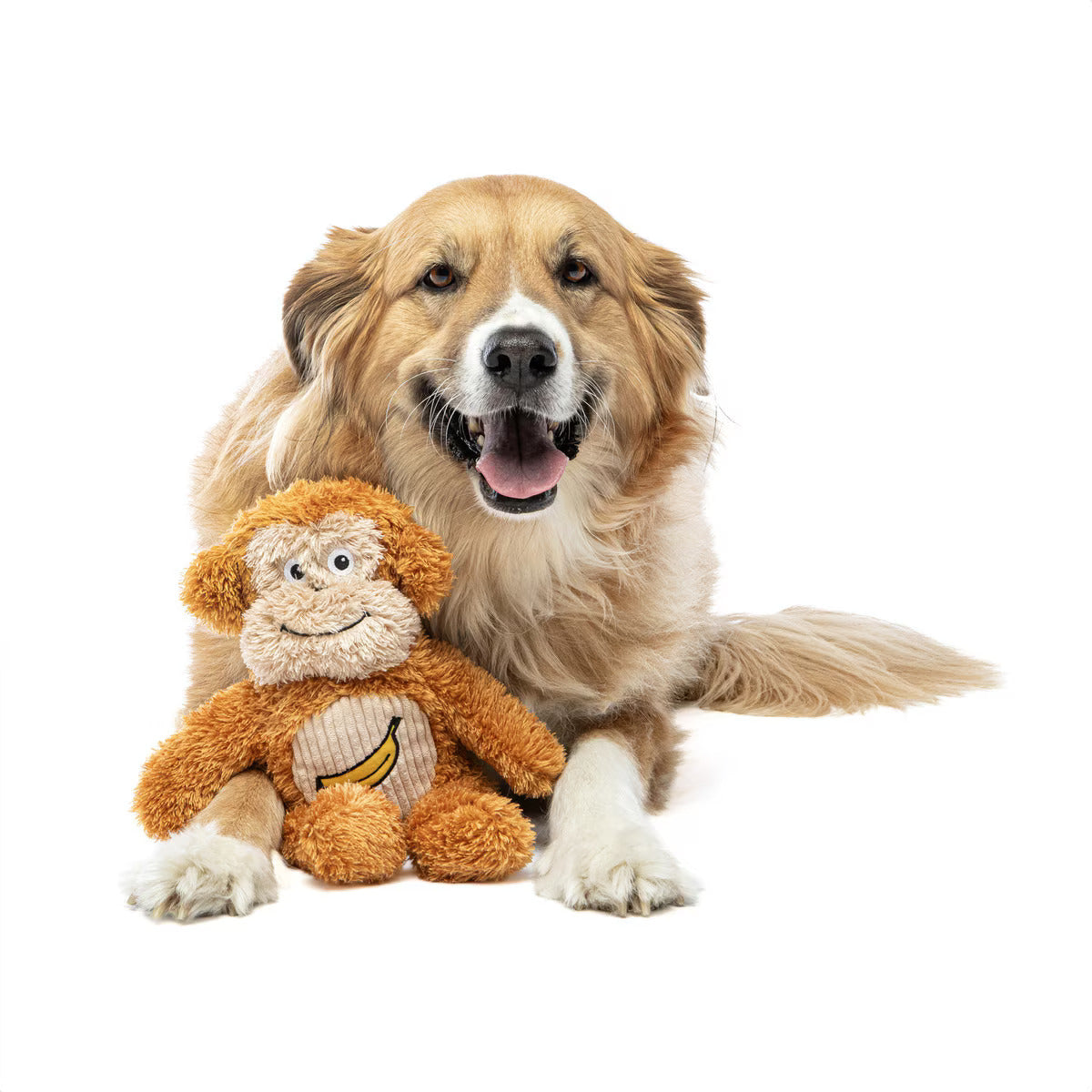 Soft Scents Monkey Plush Dog Toy