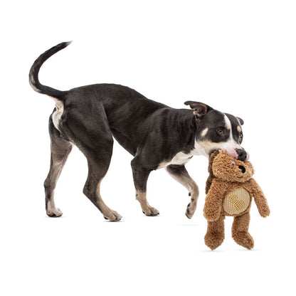 Soft Scents Hedgehog Plush Dog Toy