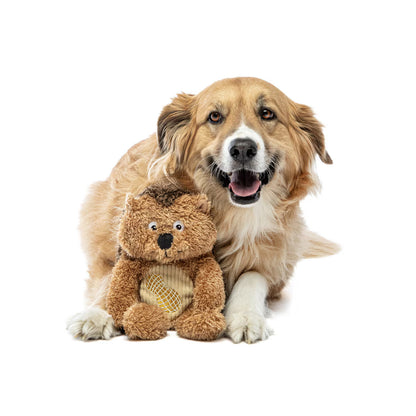 Soft Scents Hedgehog Plush Dog Toy