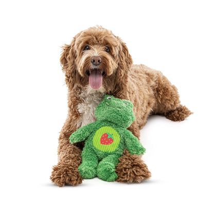Soft Scents Frog Plush Dog Toy