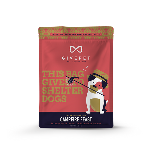 Campfire Feast Treats
