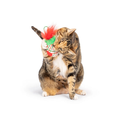 Christmas Stocking Flinger Cat Toy