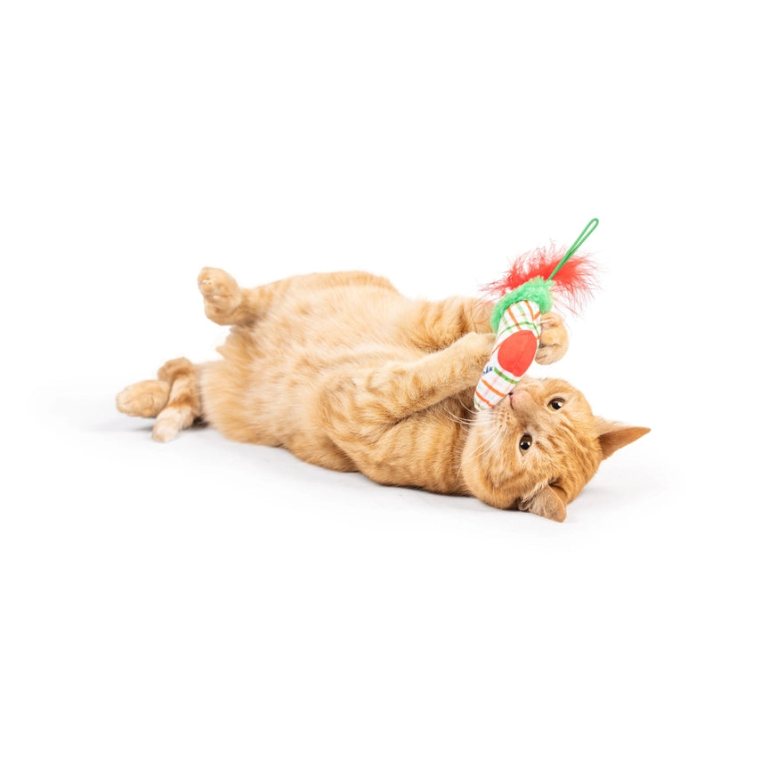 Christmas Stocking Flinger Cat Toy