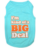 I'm Kind of a Big Deal Tee
