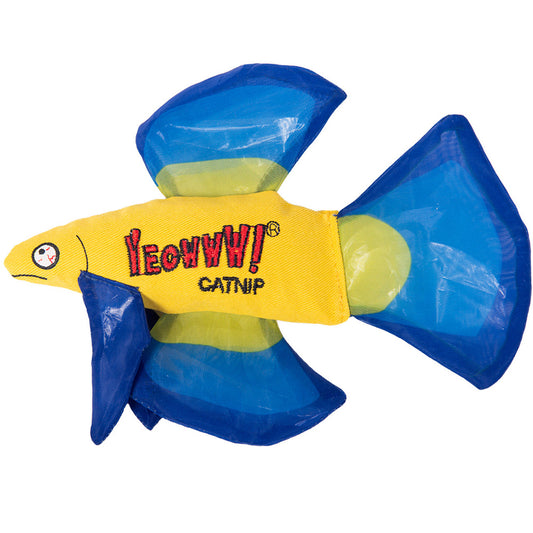 Mo Betta Fish - Blue