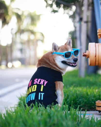 Sexy and I Know It Tee