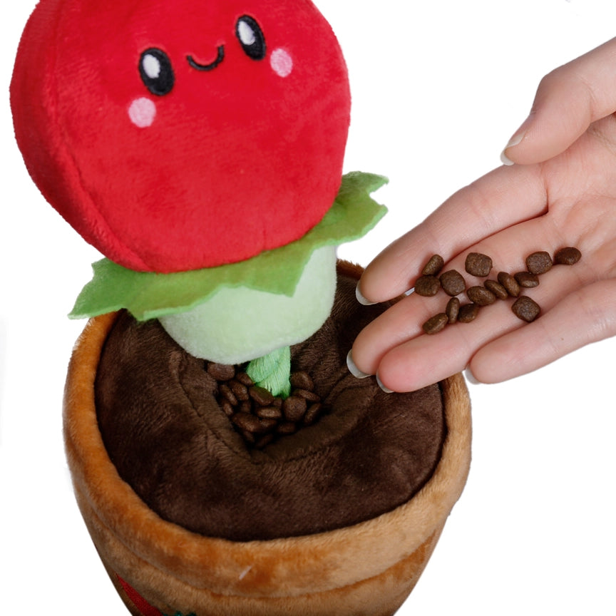 Treat & Tug Toy – Tomato