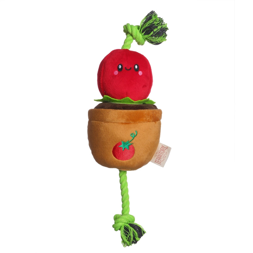 Treat & Tug Toy – Tomato