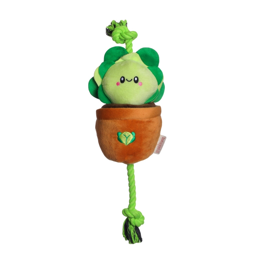 Treat & Tug Toy – Lettuce