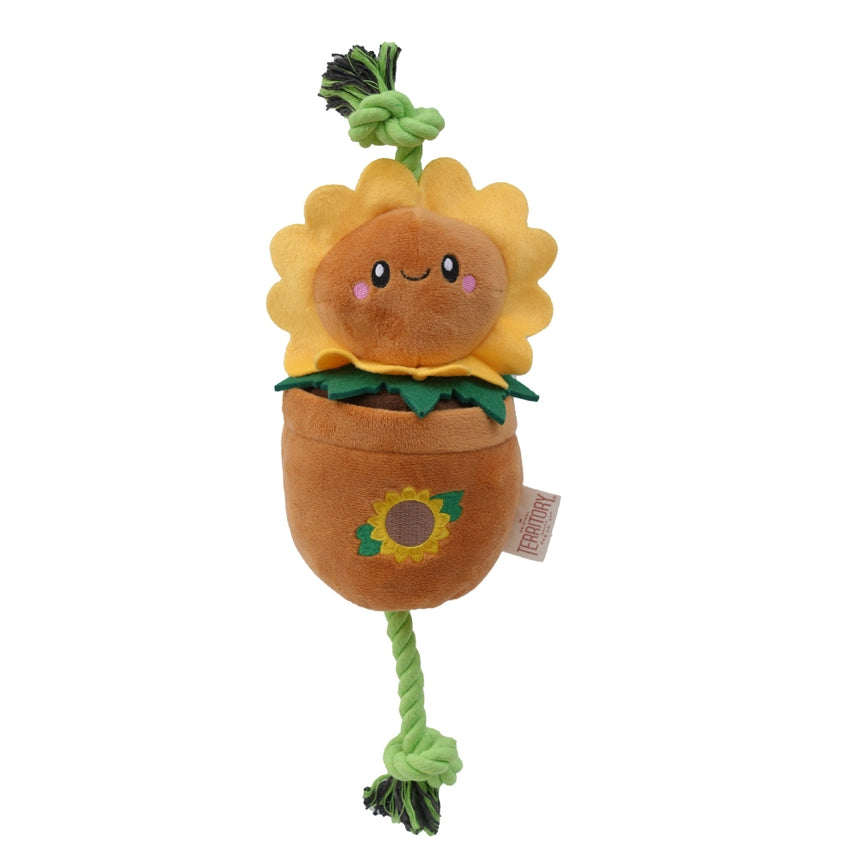 Treat & Tug Toy - Sunflower Pot