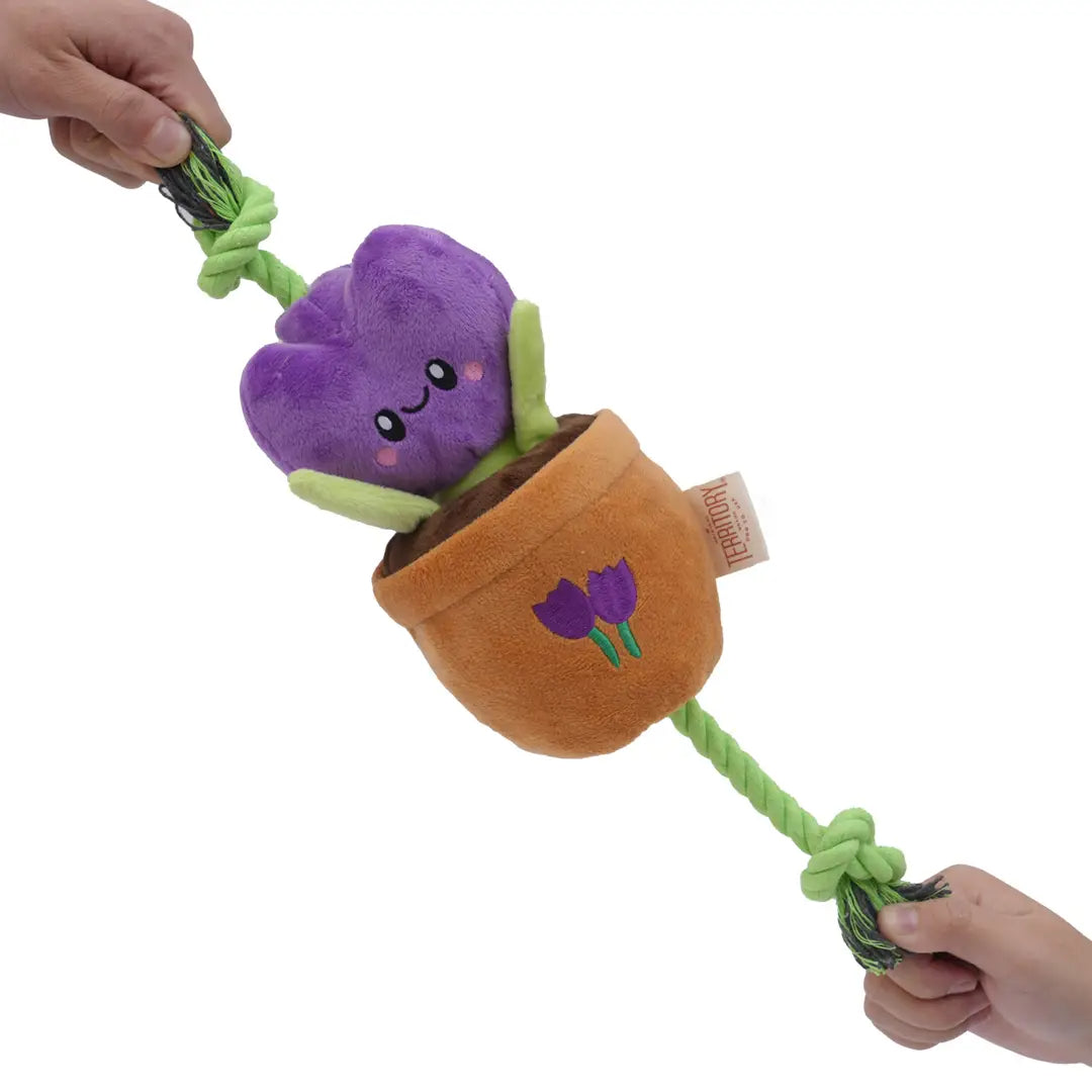 Treat & Tug Toy – Purple Tulip