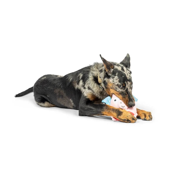 Flying Piggasus Dog Toy