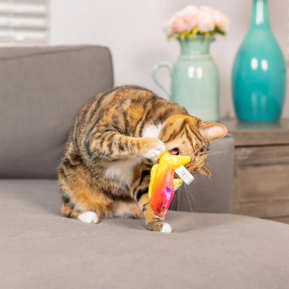 Rainbow Guppy Cat Toy