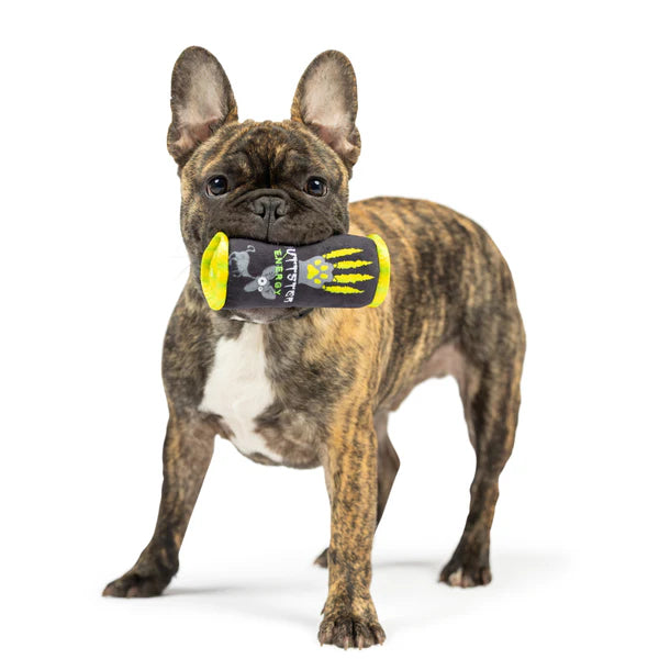 Gotta Go-Go Dog Toys 2 Pack