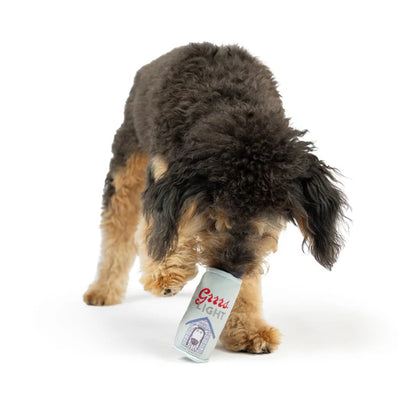 Gotta Go-Go Dog Toys 2 Pack