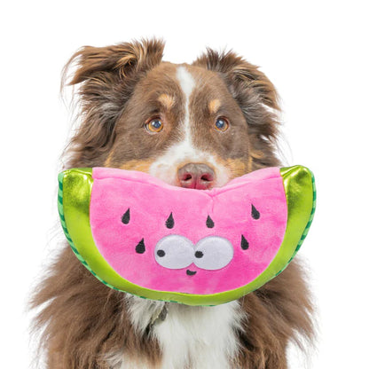 Walter Melon Toy