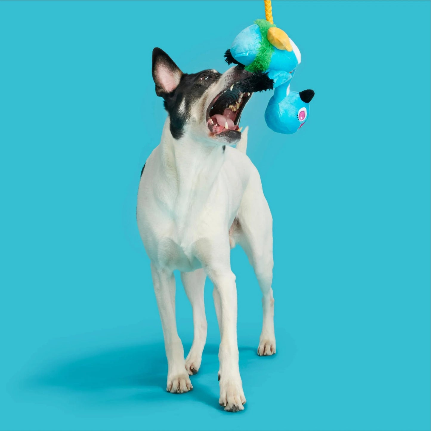 BARK Lele the Nene Goose