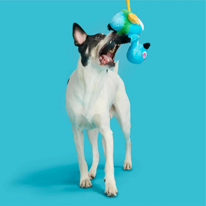 BARK Lele the Nene Goose