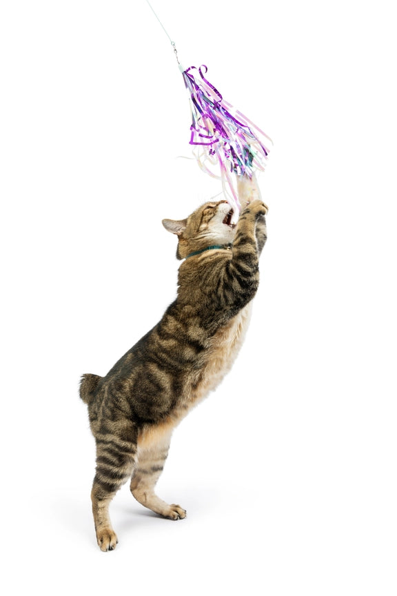 Cat Wand Refill - 2pk Dragonfly Streamers