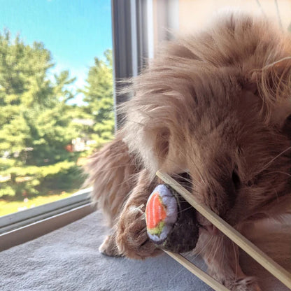 Sushi Cat Toy