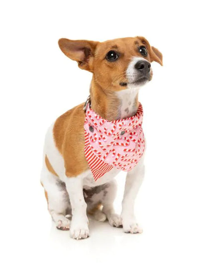 Candy Cane Bandana - Pink