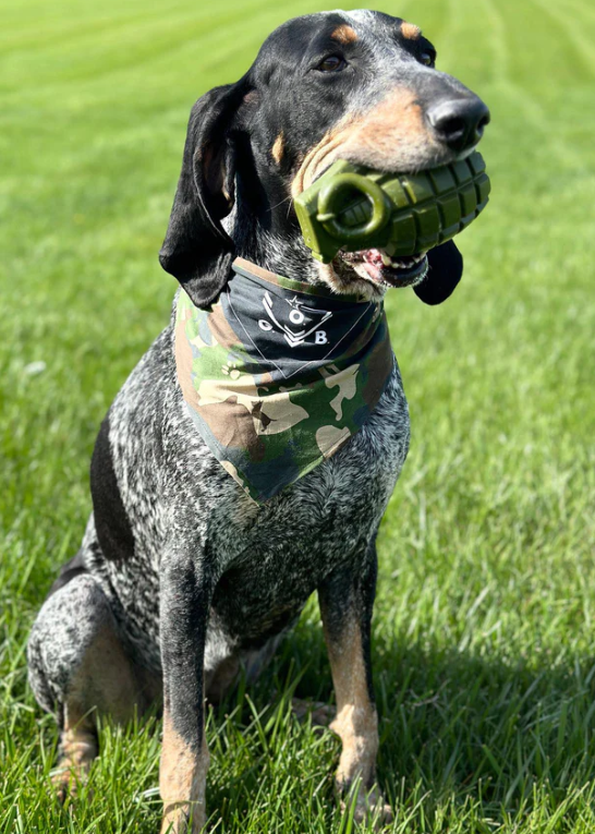 Operation Good Boy Grenade Dog Toy