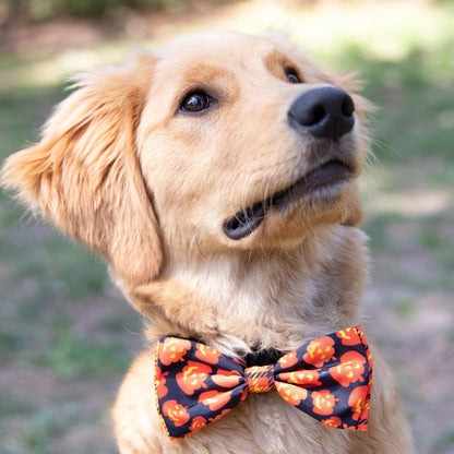 Plaid-O-Lantern Bow Tie (Available in Multiple Sizes)
