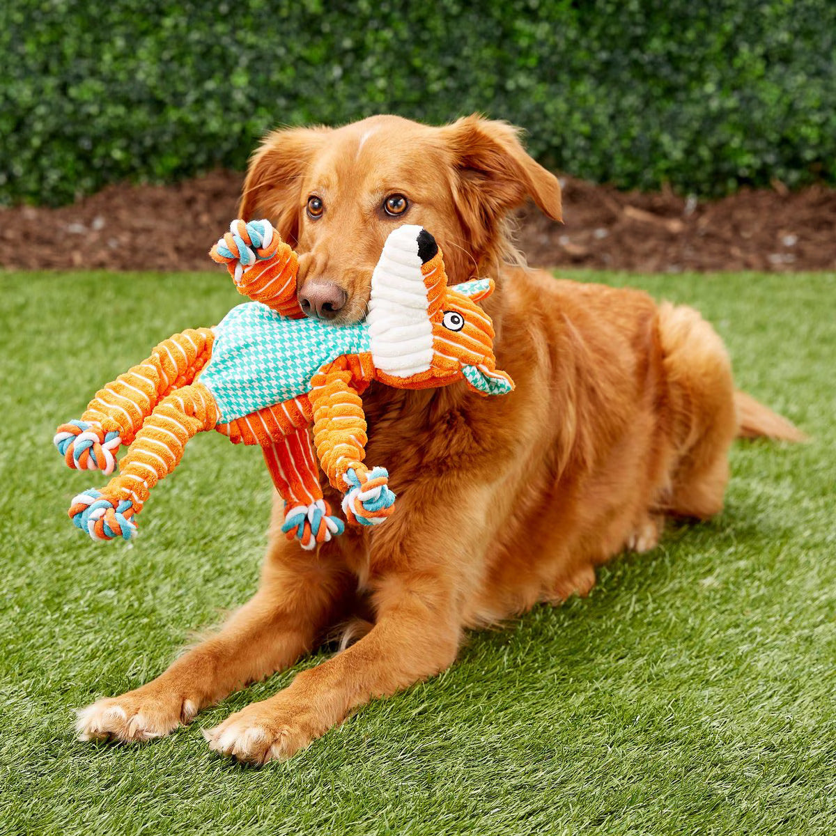 Floppy Knots Fox - Medium/Large