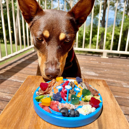 Balloon Lick Mat