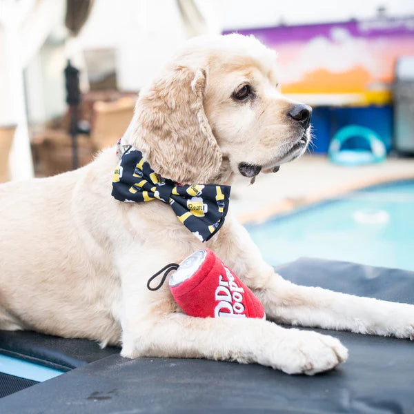 Suds Bow Tie - Multiple Sizes Available
