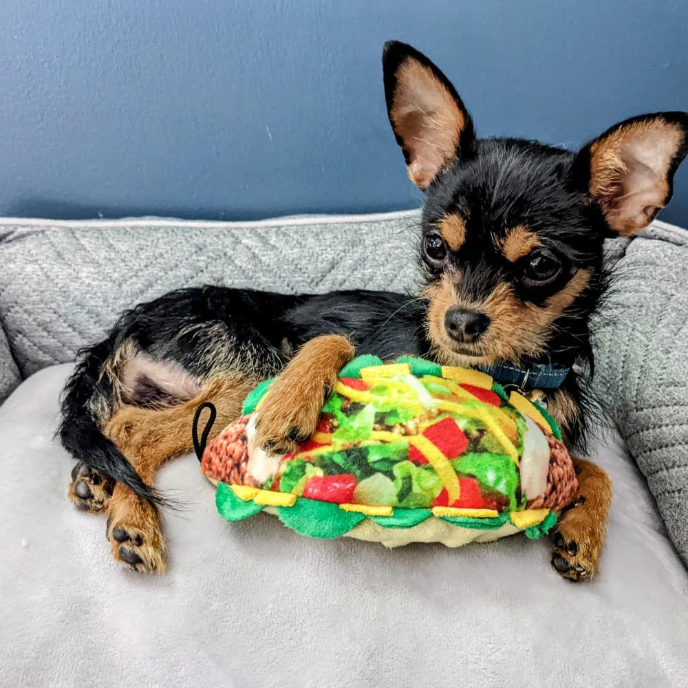 Taco Tuesday Toy