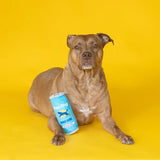 Run Dog Energy Drink Toy