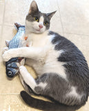 Flippin' Fish Interactive Cat Toy