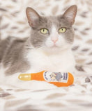 Kentucky Purrrbon Catnip Toy